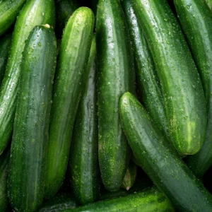 Cucumber