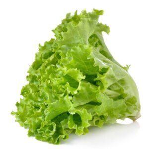 Romaine lettuce